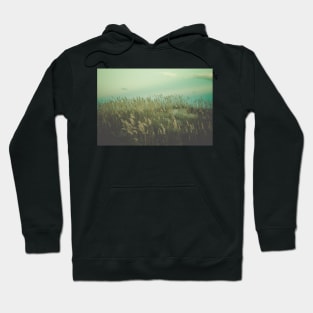 Summer Meditation Hoodie